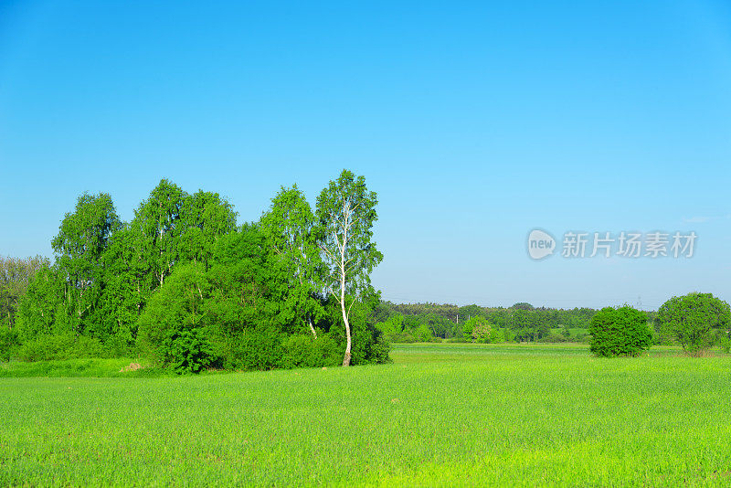 夏季景观- 36mpx